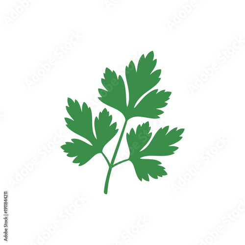 Detailed Parsley Sprig Flat Vector Icon Fresh Culinary Herb Illustration