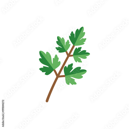 Parsley Branch Illustration Bold Colors Fresh Herb Leaves Cooking Seasoning