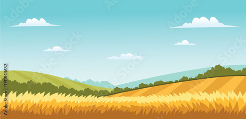 Vector illustration of a golden wheat field, ripe harvest, and a serene agricultural landscape. A bright blue sky, fluffy clouds over the countryside, and a farm background. View of a meadow.