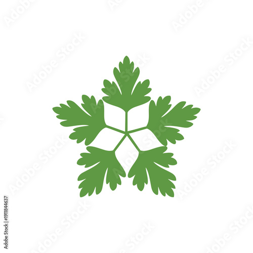 Parsley Leaf Star Design, Decorative Herb Vector, Botanical Pattern, Organic Green Foliage Illustration