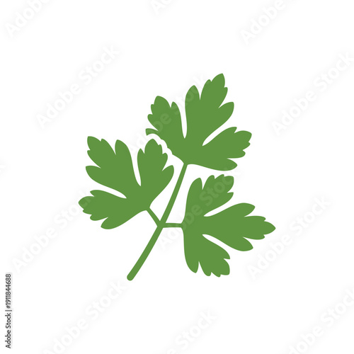 Overlapping Parsley Leaves Flat Icon Vector Illustration Botanical Herb