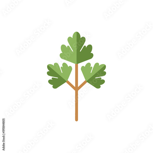 Parsley Sprig Label Illustration Fresh Herb Leaves Culinary Botanical Design