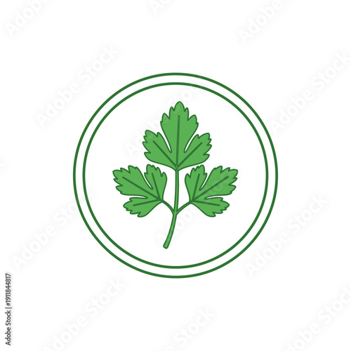 Parsley Sprig Medallion Icon Illustration Fresh Herb Botanical Culinary Design