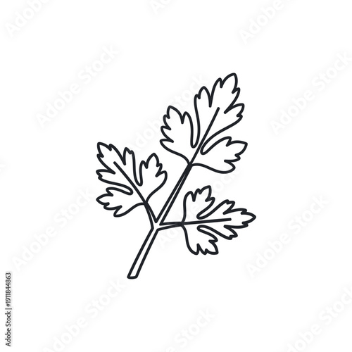 Parsley Sprig Symbol Illustration Fresh Herb Leaves Culinary Botanical Design