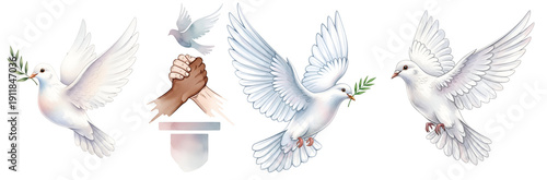 A symbolic image of white doves flying around a handshake on a transparent background