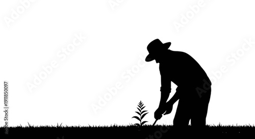 Silhouette of a person tending to a small plant in a field