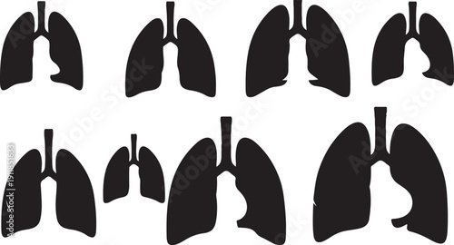 Human lungs anatomy illustrations in various healthy states depicted