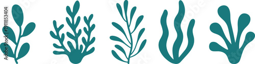 Set of seaweed and underwater plant silhouettes isolated on white background, marine algae collection, ocean botanical elements for aquatic design, coral reef decoration vector.