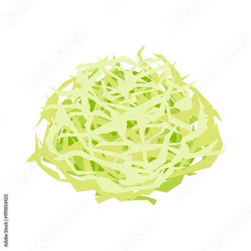 Isometric shredded cabbage - flat vector illustration, fresh vegetable icon