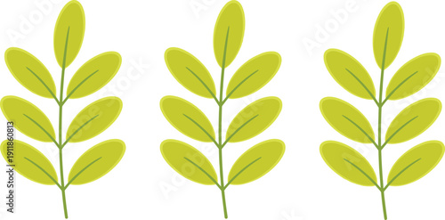 Cartoon leafy branch set — stylized green botanical illustrations