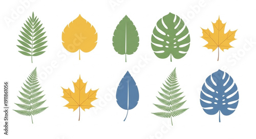 set of autumn leaves