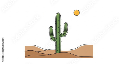 cactus in the desert