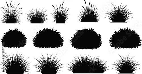 Grass and bush silhouette vector set, twelve black botanical shapes with varied blade patterns and foliage density