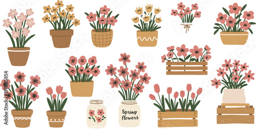 A beautiful set of spring flowers in pots featuring pink hyacinths and purple tulips isolated on a white background for a floral garden decoration