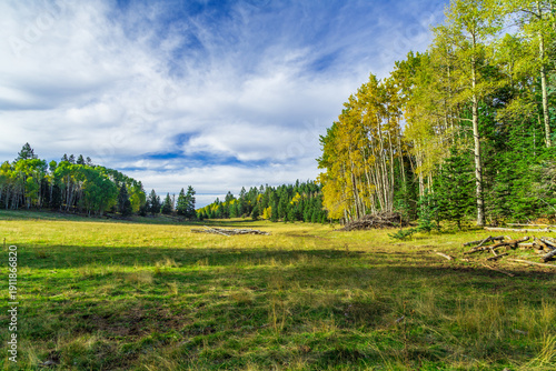 Cloudcroft, New Mexico, USA