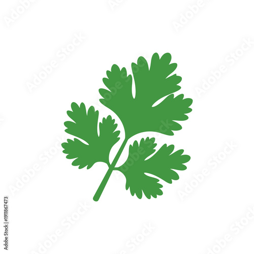 Coriander Leaves Icon Smooth Flat Herb Graphic