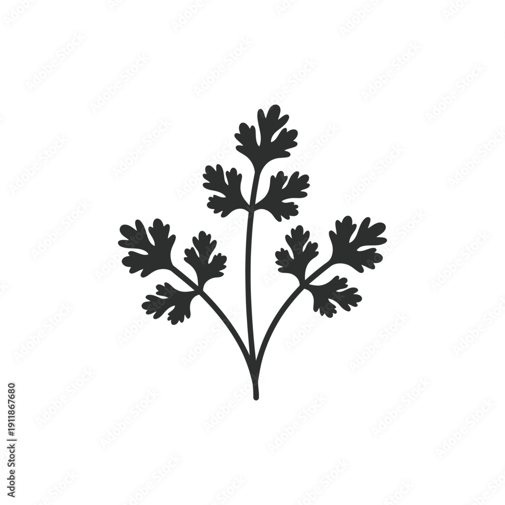 Obraz premium Coriander Plant Fresh Herb Flat Vector Icon