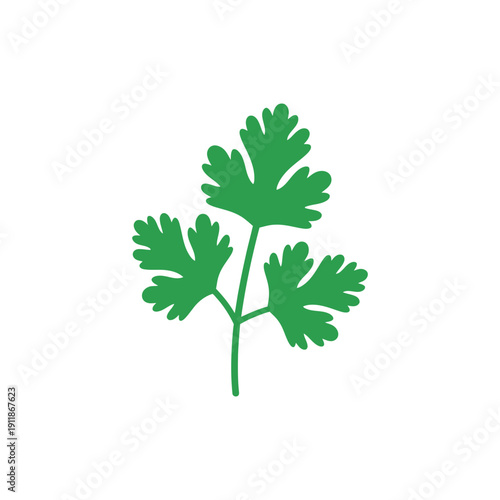 Coriander Plant Crisp Botanical Flat Vector Icon Design