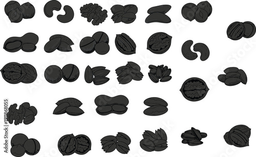 Set of various nut and seed silhouettes including walnut almond peanut and cashew isolated on white background for healthy food design