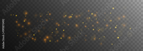 Golden dust particles of various sizes, shades, and transparency with light flares on dark floral background. Festive sparkling effect.