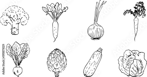 A set of vegetables: broccoli, onion, zucchini, carrot, artichoke, beetroot, and cabbage. Simple outline drawing