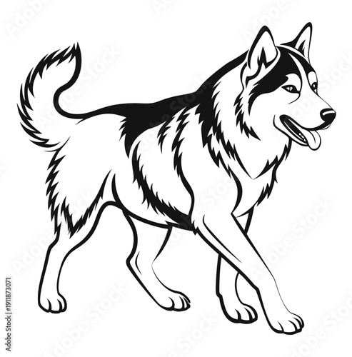 Siberian husky dog walking vector line art illustration in minimalist style
