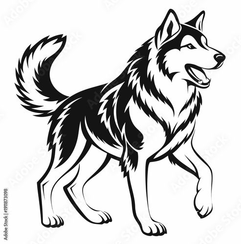 Siberian husky dog walking vector line art illustration in minimalist style