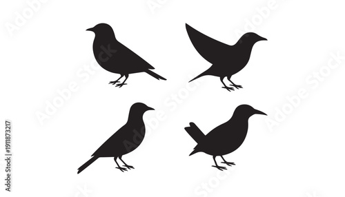 black color Eurasian magpie bird set of silhouette vector illustration, solid white background