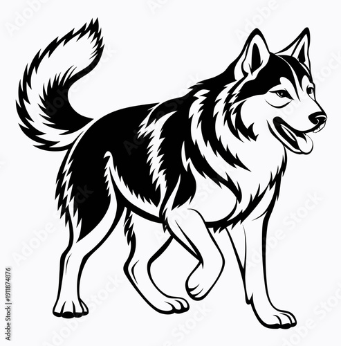 Cute corgi dog mascot sitting with tongue out black and white vector