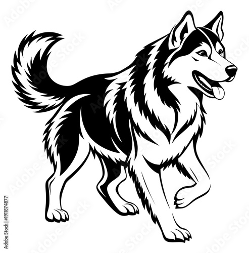 Cute corgi dog mascot sitting with tongue out black and white vector