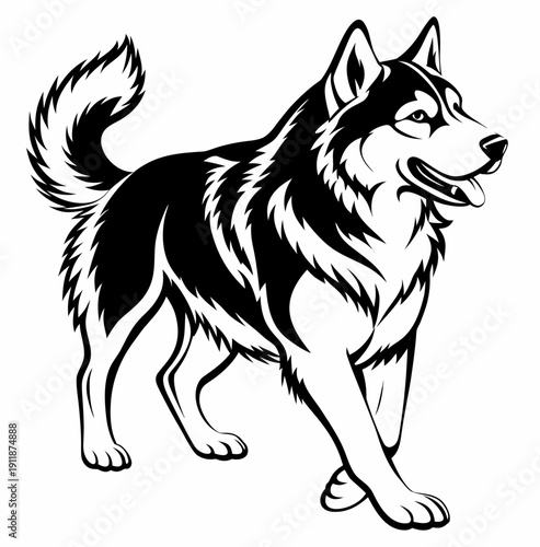 Cute corgi dog mascot sitting with tongue out black and white vector