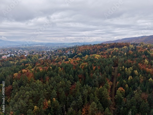 Fotografie autumncolored woodland at urban boundary highlighting city and natural landscape