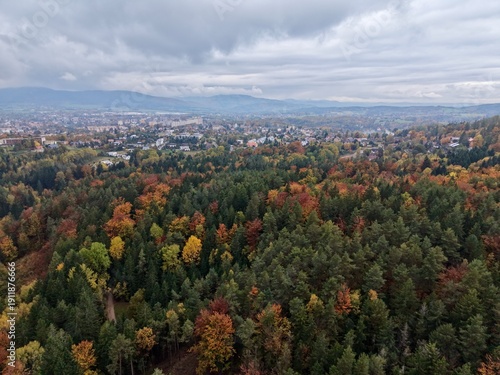 Принти на полотні autumnal woodland fringe with distant metropolitan skyline and colorful foliage