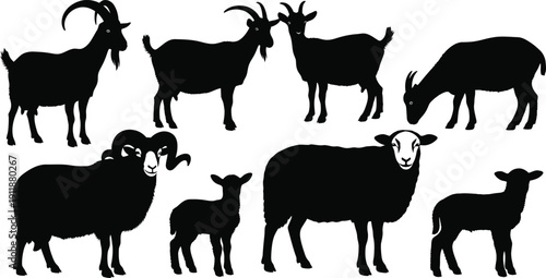 Goat and Sheep Silhouette Vector Set: Farm Animal Livestock Icons