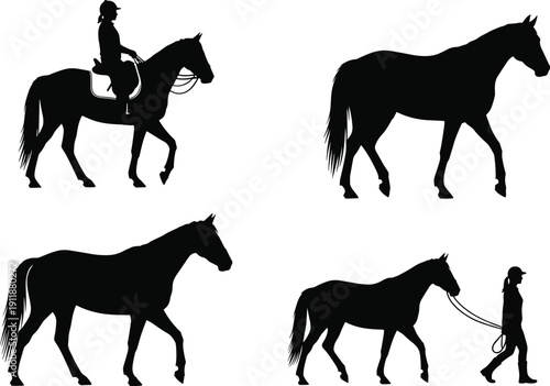 Black silhouette set of equestrian activities featuring horse riding, walking horses, and a person leading a horse on white background.