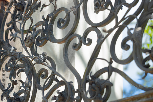 Konstfotografi Ornate wrought iron gate with intricate floral patterns and scrollwork, sunlight