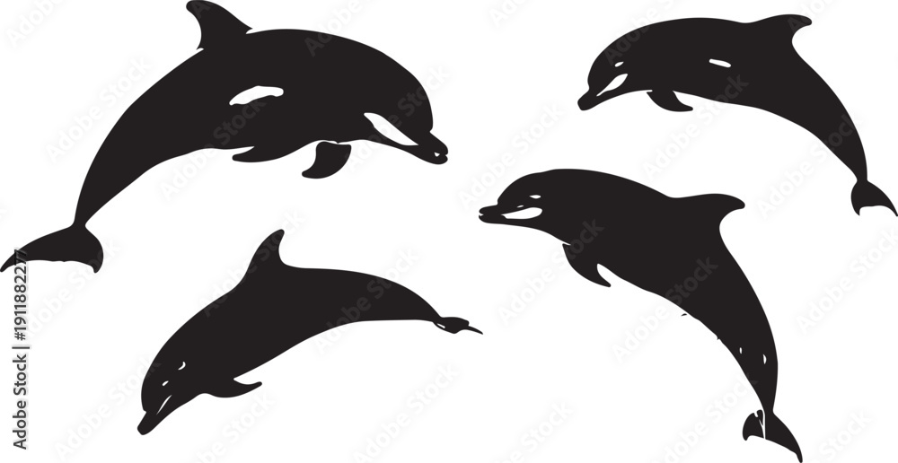 Fototapeta Four black dolphins in different poses on white background