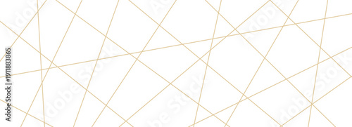 Abstract background of random lines on white. Chaotic mesh pattern