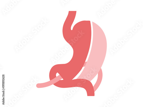 biliopancreatic diversion with duodenal switch surgery
