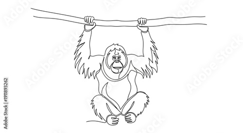 Orangutan hanging from a branch, continuous line drawing