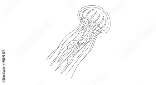 Minimalist Jellyfish Line Art