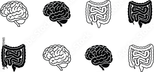 Human brain and intestine anatomy icons set in solid and outline medical vector collection
