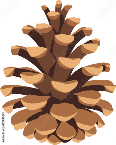 Pine Cone Illustration, Detailed Scales, Brown Natural Object, Isolated on White, Autumn and Nature Sub-Niche