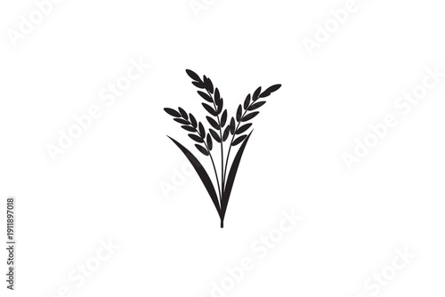 Black silhouette of rice plant with three heavy ears of grain and long sharp leaves on white background isolated illustration of agricultural crop