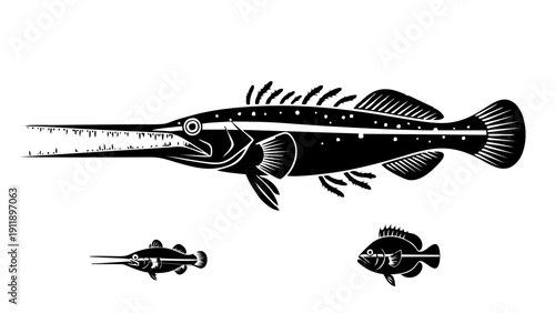 Vintage Engraving Style Needlefish Illustration Isolated on White Background Black and White Vector Art