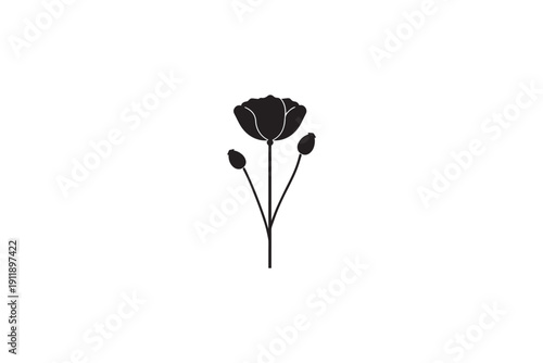 Elegant silhouette of a poppy flower with one bloom and two buds on slender stems, minimalist botanical illustration