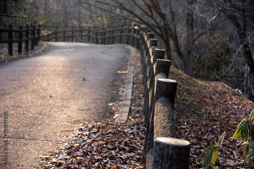 冬の夕日に照らされる秩父ミューズパークの林道と続く木柵の風景