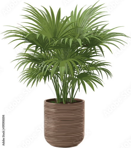 Tropical palm plant in decorative pot, lush green indoor houseplant illustration, modern botanical decor element, realistic vector design for home interior