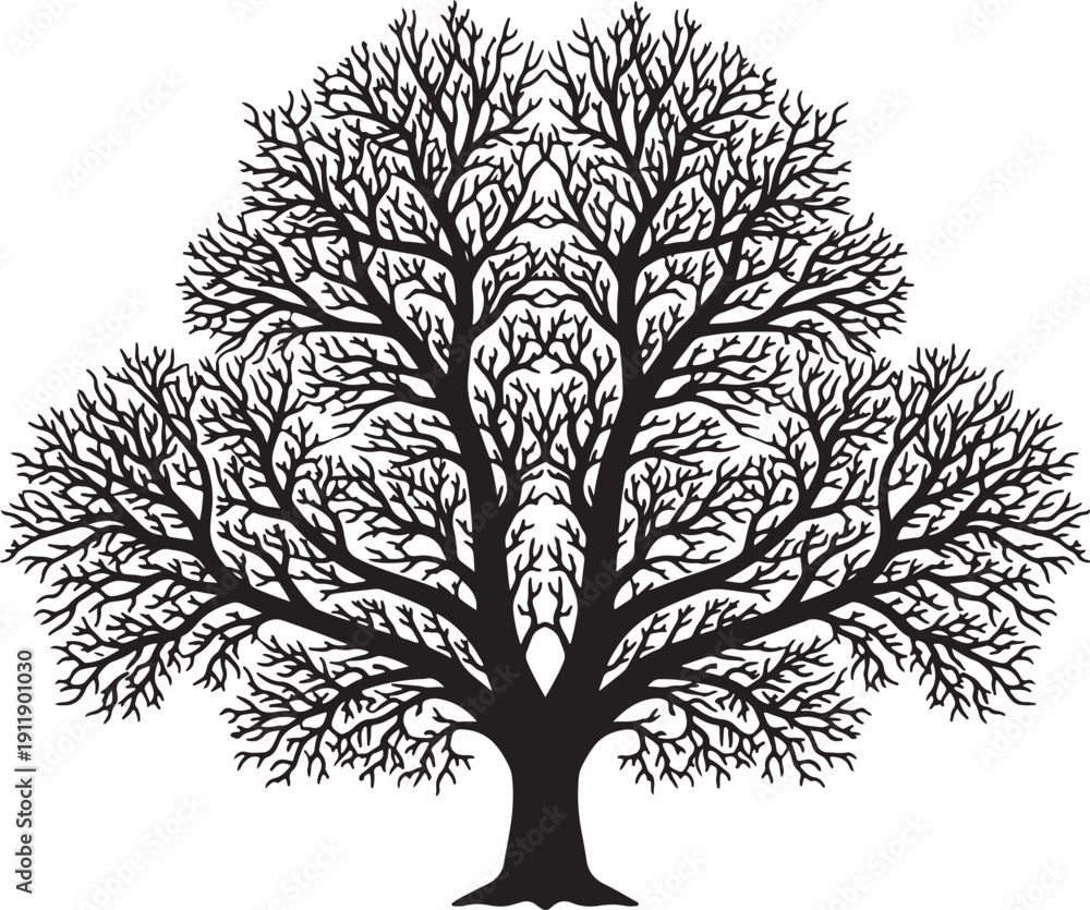 Obraz premium Black silhouette of a bare tree with sprawling branches on white background also transparent background