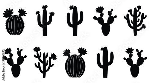 Collection of various cactus silhouettes with flowers on white background